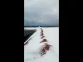 Winter Storm Leaves NY Dunes Covered In Snow