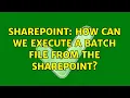 Sharepoint How can we execute a batch file from the Sharepoint
