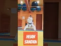 Kata Heian Sandan – Full Shotokan Demonstration 🥋 #HeianSandan #Shotokan #KarateKata #HeianSeries