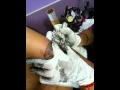 Symbol of Bravery and Strength