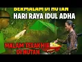 Download Lagu Camping Hujan deras mencari ikan dan sayuran 4 hari 3 malam di hutan kalimantan
