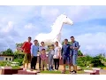 Download Lagu Travel from Kep to Kampot Province | White Horse Round About and Railroad in Kampot