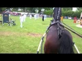Download Lagu Concours Hippique Eext ereronde tuigpaarden