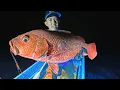 Download Lagu IKAN MELIMPAH DITURNAMEN BUNGA INDAH SEASON 2 BOLTARA❗️❗️