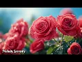 Download Lagu Волшебная осенняя музыка для души🌺Лучшие мировые мелодии для релаксации 🌿Сергей Грищук