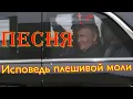 Lagu Песня Исповедь плешивой моли