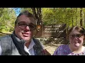 2026 Fall Colors In The Smokies / Soco Falls / Blue Ridge Parkway / Chimney Tops Trail / Bears