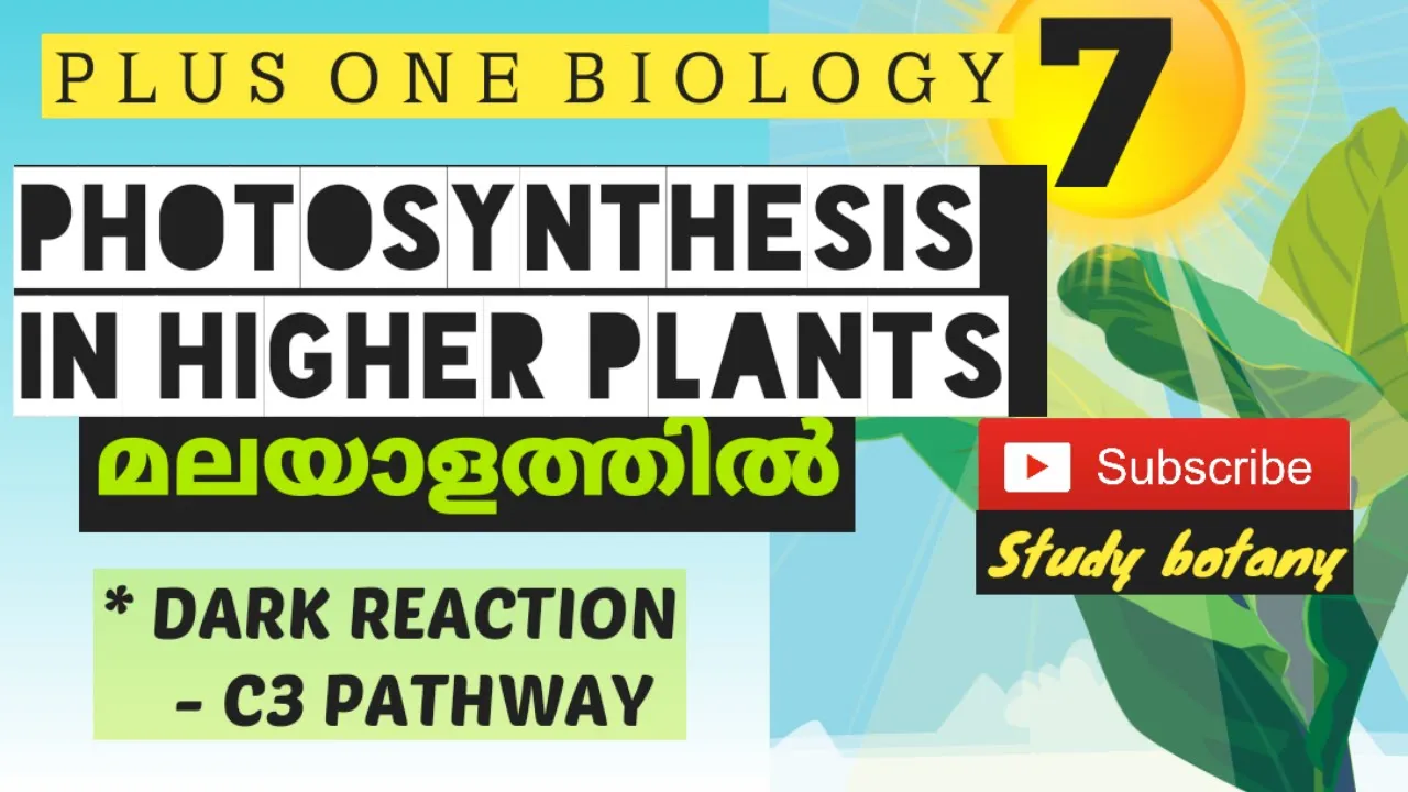 DARK REACTION (C3 PATHWAY)-PHOTOSYNTHESIS IN HIGHER PLANTS | PLUS ONE BIOLOGY MALAYALATHIL SB NCERT