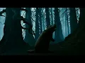 Lagu Nightmare in the Forest: The Curse of the Dream-Stealing Beaver (Horror Music Video)