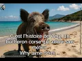 Memes corses hilarants la macagna dans toute sa splendeur Compilation qui va vous faire rire