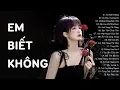 Download Lagu Người Ta Sống Với Em Thế Nào, Sao Hương Sắc Em Phai Tàn - Em Biết Không | Nhạc Buồn Thất Tình 2024