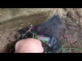 How to smoke out a woodchuck