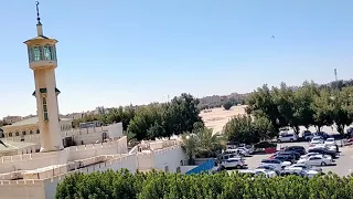 الجوع بئس الضجيع 