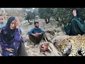 Download Lagu Nomadic life  wild day in the heart of nature the harsh life of nomads and a wolf attack on the herd