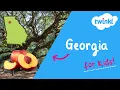All About Georgia for Kids Georgia History and Fun Facts Twinkl USA