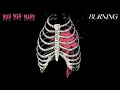 Yeah Yeah Yeahs - Burning