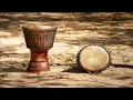 Download Lagu Great Drum Music Bongos for Background Studying, Working Out, Calm Relaxing
