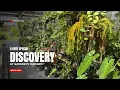 The Garden You Have to See to Believe Gardino s Full Nursery Tour