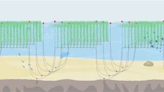 MacroSystems