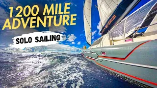 SOLO SAILING – FASTEST PASSAGE EVER! [RED SEAS]