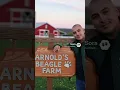 Dog Farm