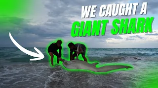 MONSTER Hammerhead Eats Our Bait From Shore! Florida Land-Based Shark Fishing