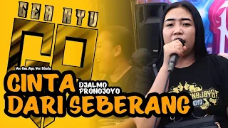 gea ayu terbaru cinta dari seberang cover jandhut djalmo pronojoyo vesya pro audio 2025