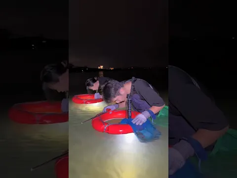 How do Chinese people catch crabs at night #shorts