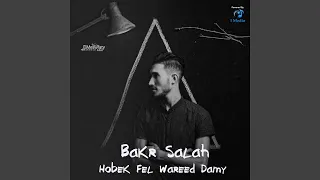 Hobek Fel Wareed Damy 