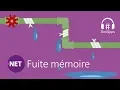 Fuite memoire en NET