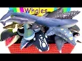Download Lagu Awesome Sea Animals - Orca, Blue Whale, Grey Whale, Sperm Whale, Humpback Whale, Killer Whale 13+
