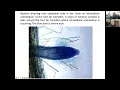 Rhizophagy and Agriculture An Interview with Dr James White