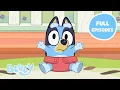 Download Lagu Heeler Family Time 💙 🧡 | Full Episodes | Baby Race, Asparagus, and More! | Bluey 💙