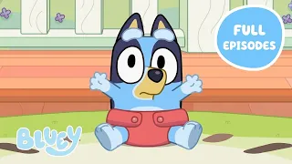 Heeler Family Time 💙 🧡 | Full Episodes | Baby Race, Asparagus, and More! | Bluey 💙