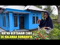 MASYA ALLAH !! RATNA BAHAGIA DI AJAK MENANAM CABE DI HALAMAN RUMAH BARUNYA