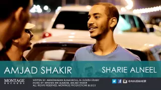 Sharie Alneel Amjad Shakir شارع النيل أمجد شاكر 