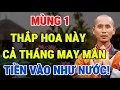 Lagu 5 Loại Hoa Nên Thắp Hương Ngày Mùng 1 Để May Mắn Cả Tháng, Tiền Bạc Ùn Ùn Kéo Tới