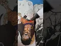 Coloring on my manga One Piece