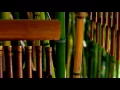 Lagu Wind Chime Ringtone | Ringtones for Android | Instrumental Ringtones