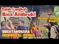Download Lagu NGERI..!! RUMAH MBAH BISA AMBRUK KAPAN SAJA