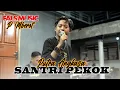Download Lagu PUTRA ANGKASA P MBEROT - SANTRI PEKOK || FALS MUSIC