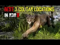 PERFECT Cougar Locations guide in RDR2 guaranteed spawn