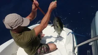 BIGGEST WAVES WE’VE EVER SEEN PACIFIC SAILING – Ep 20