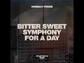 Bitter Sweet Symphony For A Day - D'Angello & Francis