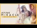 Lagu Apink (에이핑크) - MIRACLE 기적 같은 이야기 | Line Distribution (Color Coded) [PERFECT ACCURACY]