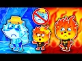 Lagu Little Lion | Ice Raccoon and Fire Lion | Cartoon | Video for Kids