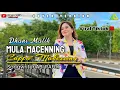 Download Lagu MULA MACENNING CAPPA MAKESSING ~Dhani Malik || Cipt:Aby Rafdi KDI(Official Cover Music Video