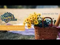 Beanstack website Creating an Account