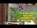 Download Lagu Placing my new Vanda Two Tone Lavander in a wood basket with orchiata bark