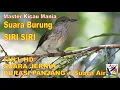 Download Lagu Masteran Murai, Suara Burung SIRI SIRI Durasi Panjang + Terapi Suara Air Mengalir...FULL HD...!!!